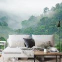 Fototapeta Rainforest Morning Fog