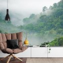 Fototapeta Rainforest Morning Fog