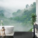 Fototapeta Rainforest Morning Fog