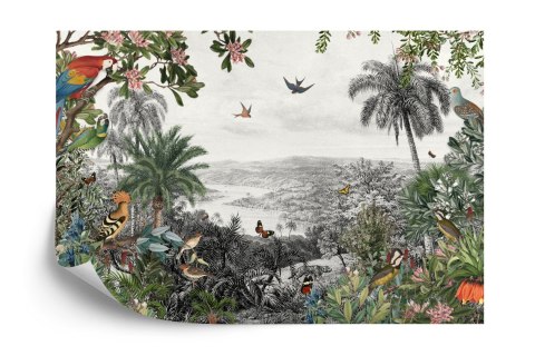 Fototapeta Tropical Jungle Wallpaper Palm Trees, Birds And Parrot In The River Land With Flying Butterflies