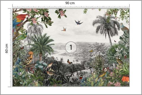 Fototapeta Tropical Jungle Wallpaper Palm Trees, Birds And Parrot In The River Land With Flying Butterflies