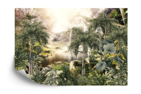 Fototapeta Tropical Trees And Leaves For Digital Printing Wallpaper, Custom Design Wallpaper - 3D