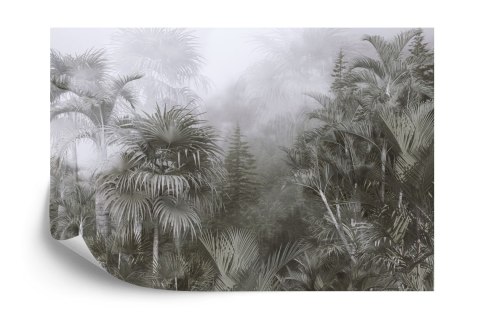 Fototapeta Tropical Trees And Leaves For Digital Printing Wallpaper, Custom Design Wallpaper - 3D