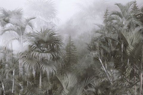 Fototapeta Tropical Trees And Leaves For Digital Printing Wallpaper, Custom Design Wallpaper - 3D