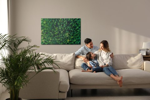 Obraz Na Płótnie Drzewa W Karpatach