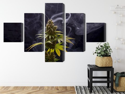 Obraz Wieloczęściowy Roślina Konopi Na Zadymionym Tle