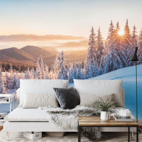 Fototapeta Impressive Winter Morning In Carpathian Mountains With Snow Covered Fir Trees. Colorful Outdoor Scene, Happy New Year