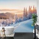 Fototapeta Impressive Winter Morning In Carpathian Mountains With Snow Covered Fir Trees. Colorful Outdoor Scene, Happy New Year
