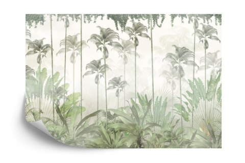 Fototapeta Tropical Trees And Leaves For Digital Printing Wallpaper, Custom Design Wallpaper - 3D