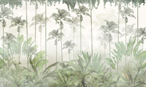 Fototapeta Tropical Trees And Leaves For Digital Printing Wallpaper, Custom Design Wallpaper - 3D