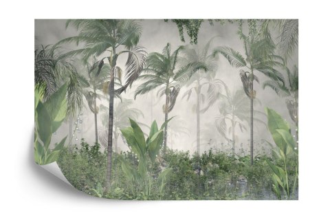 Fototapeta Tropical Trees And Leaves For Digital Printing Wallpaper, Custom Design Wallpaper - 3D