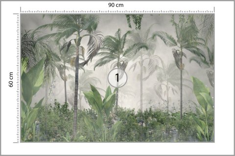 Fototapeta Tropical Trees And Leaves For Digital Printing Wallpaper, Custom Design Wallpaper - 3D