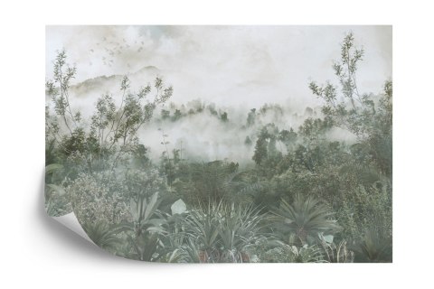 Fototapeta Tropical Trees And Leaves For Digital Printing Wallpaper, Custom Design Wallpaper - 3D