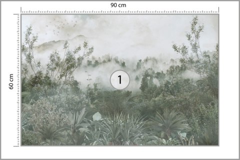 Fototapeta Tropical Trees And Leaves For Digital Printing Wallpaper, Custom Design Wallpaper - 3D