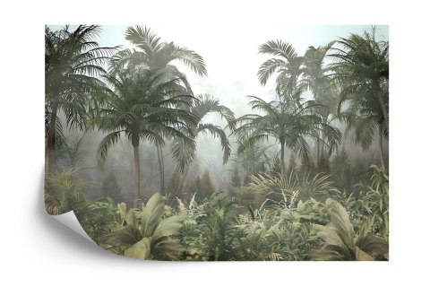 Fototapeta Tropical Trees And Leaves For Digital Printing Wallpaper, Custom Design Wallpaper - 3D