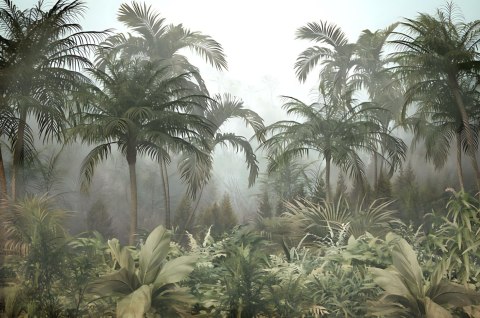 Fototapeta Tropical Trees And Leaves For Digital Printing Wallpaper, Custom Design Wallpaper - 3D