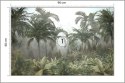 Fototapeta Tropical Trees And Leaves For Digital Printing Wallpaper, Custom Design Wallpaper - 3D