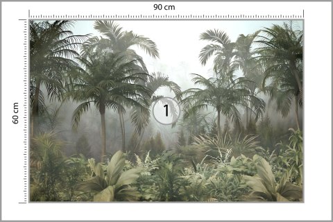Fototapeta Tropical Trees And Leaves For Digital Printing Wallpaper, Custom Design Wallpaper - 3D