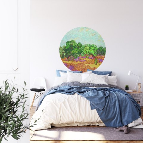 Fototapeta Okrągła Drzewa Oliwne