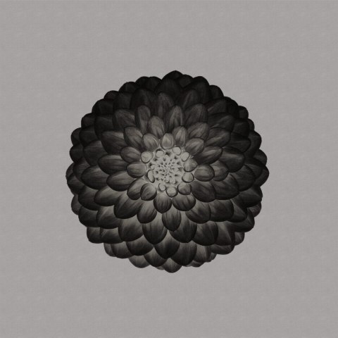 Fototapeta Okrągła Symetria W Negatywie