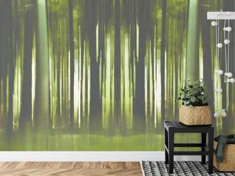 Fototapeta Kwadratowa Forestiel