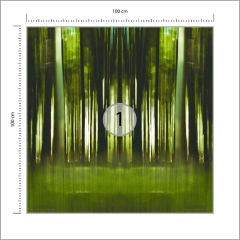 Fototapeta Kwadratowa Forestiel