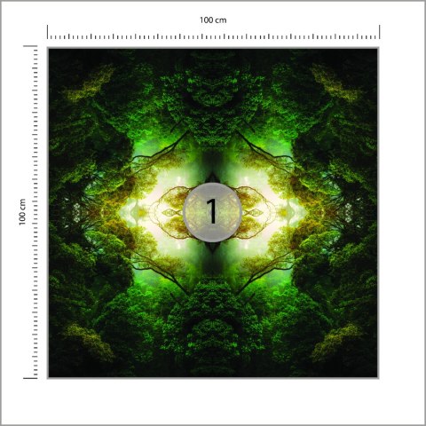 Fototapeta Kwadratowa Głębia Lasu