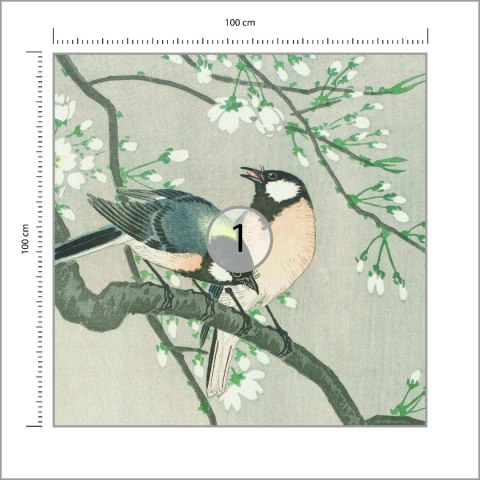 Fototapeta Kwadratowa Jedwabne Ptaki