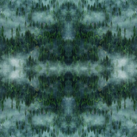 Fototapeta Kwadratowa Krajobraz Leśny