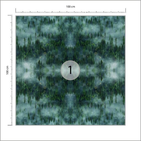 Fototapeta Kwadratowa Krajobraz Leśny