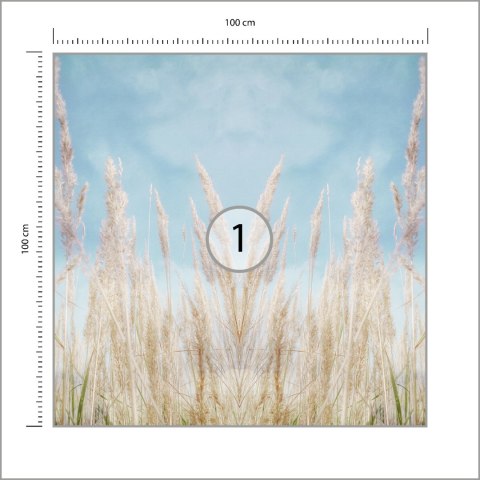 Fototapeta Kwadratowa Lipcowe Dni