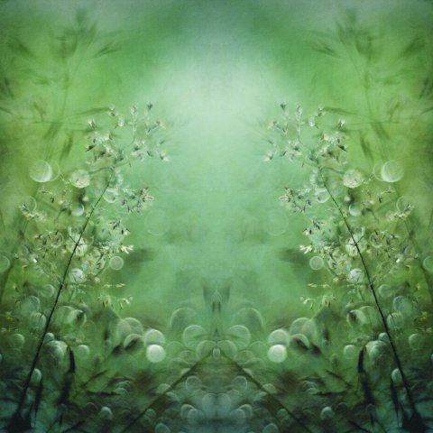 Fototapeta Kwadratowa Trawy Autorstwa Nel Talen