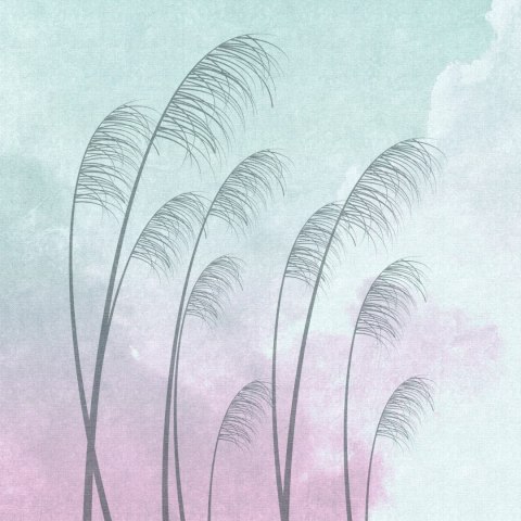 Fototapeta Okrągła Chmury Pampasowe