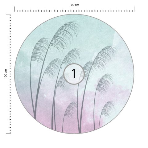 Fototapeta Okrągła Chmury Pampasowe