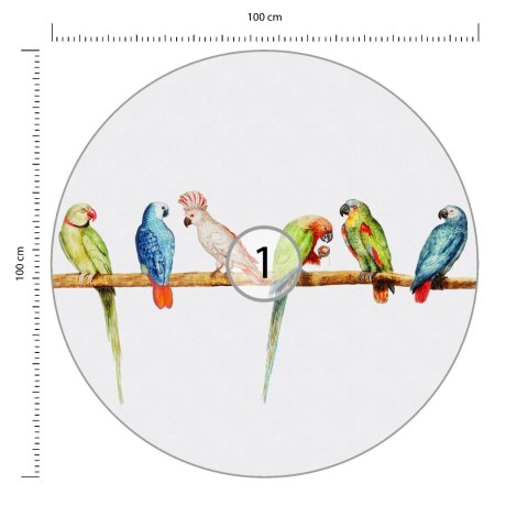 Fototapeta Okrągła Ekshibicjoniści