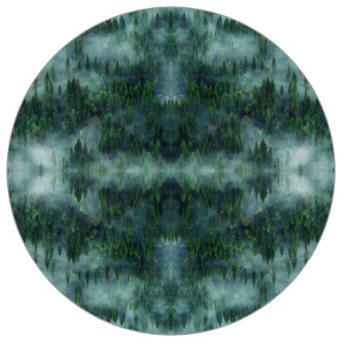 Fototapeta Okrągła Krajobraz Leśny