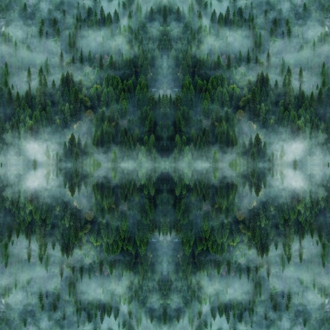 Fototapeta Okrągła Krajobraz Leśny