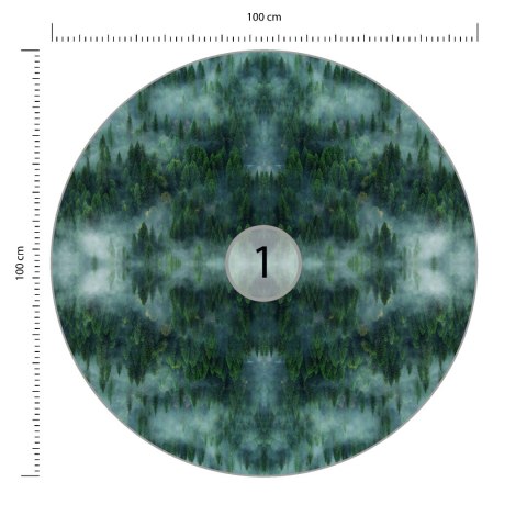 Fototapeta Okrągła Krajobraz Leśny