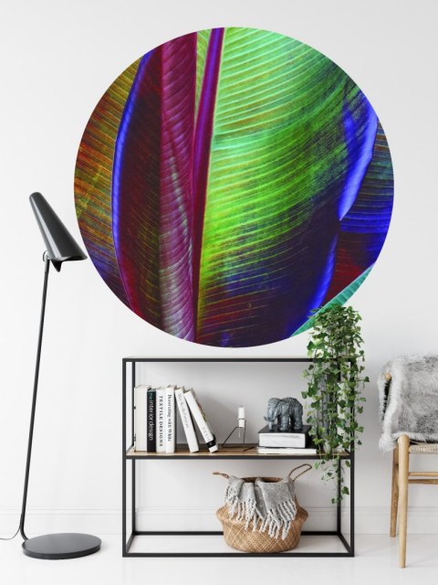 Fototapeta Okrągła Liść Bananowca François Casanova