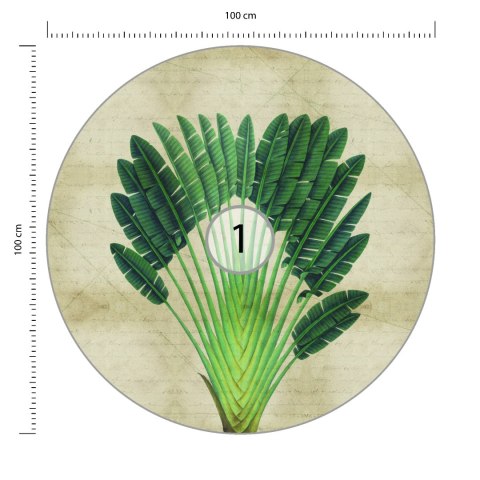 Fototapeta Okrągła Rośliny Tropikalne Ii