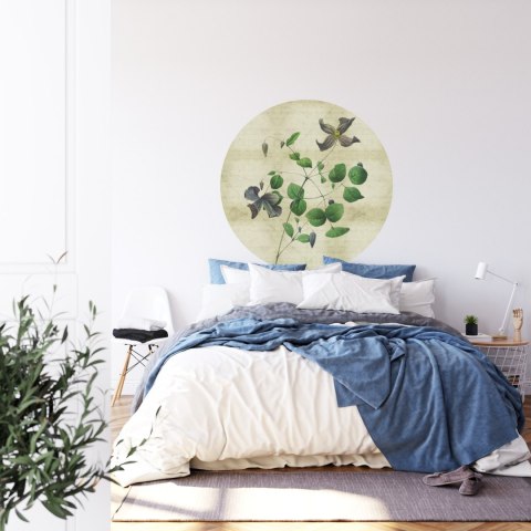 Fototapeta Okrągła Rycina Botaniczna W Stylu Vintage Iii