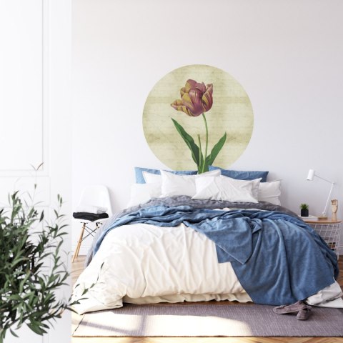 Fototapeta Okrągła Rycina Botaniczna W Stylu Vintage Iv