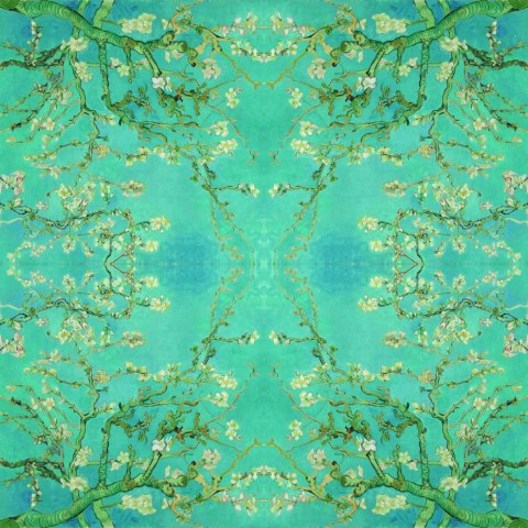 Fototapeta Kwadratowa Kwiaty Migdałów