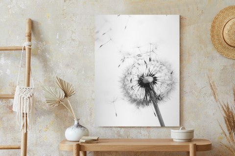 Plakat Dmuchawiec I Jego Nasiona