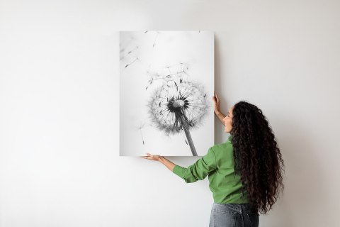 Plakat Dmuchawiec I Jego Nasiona