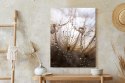 Plakat Dmuchawiec Z Kroplami Rosy