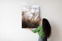 Plakat Dmuchawiec Z Kroplami Rosy