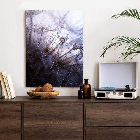 Plakat Mokry Mniszek Lekarski