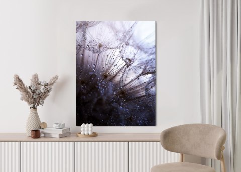 Plakat Mokry Mniszek Lekarski