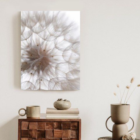 Plakat Puszysty Beżowy Dmuchawiec